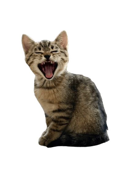 loan 7aide8prva0 unsplash removebg preview