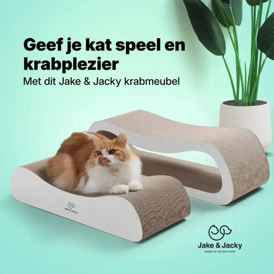 jake & jacky krabkarton listing images 01 2 1 model