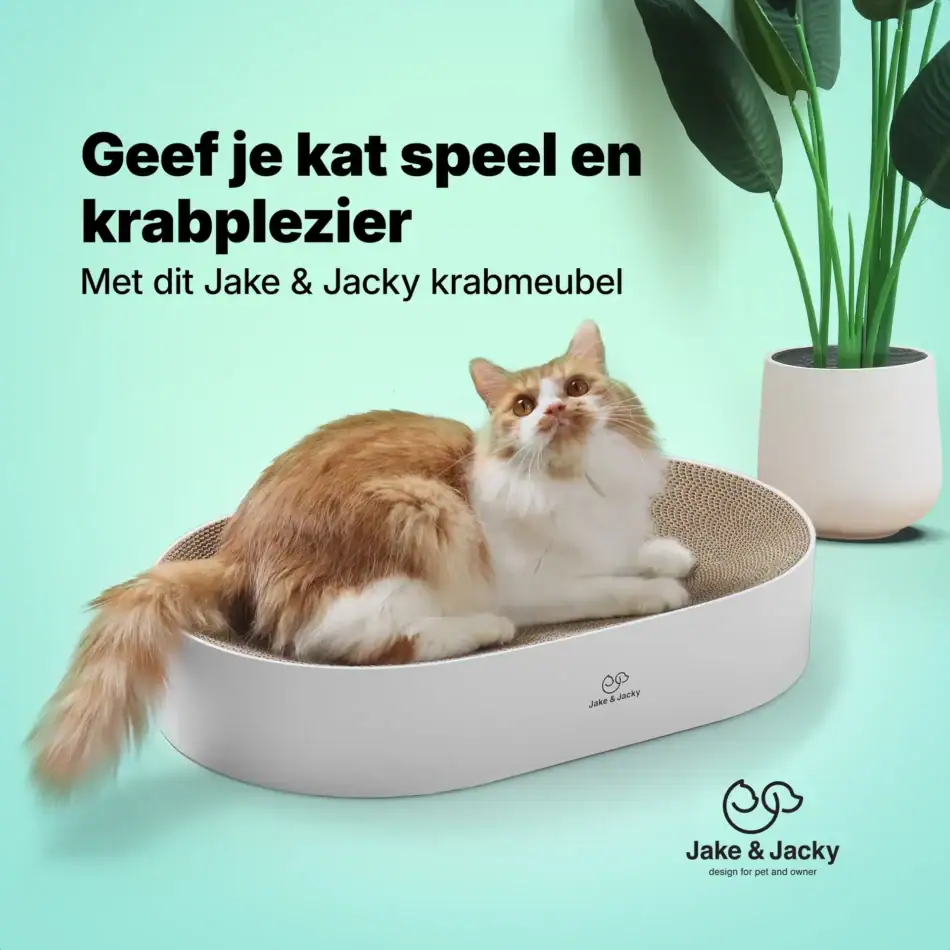 jake & jacky krabkarton listing images 01 kattenbed