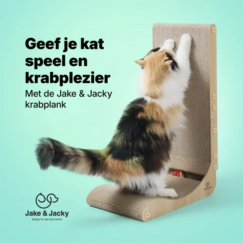 jake & jacky krabkarton listing images 01 l shape