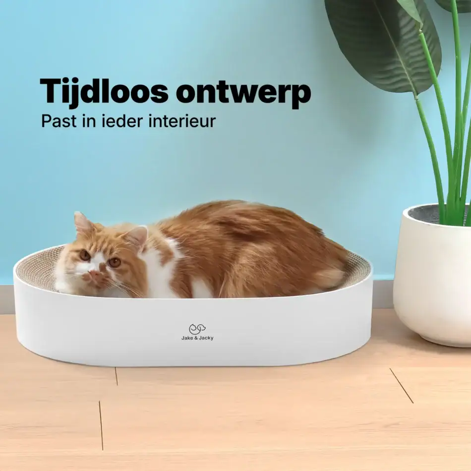 jake & jacky krabkarton listing images 02 kattenbed