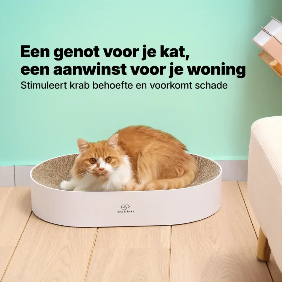 jake & jacky krabkarton listing images 04 kattenbed