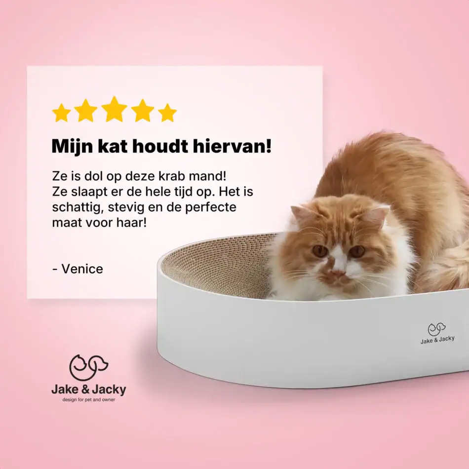 jake & jacky krabkarton listing images 09 kattenbed