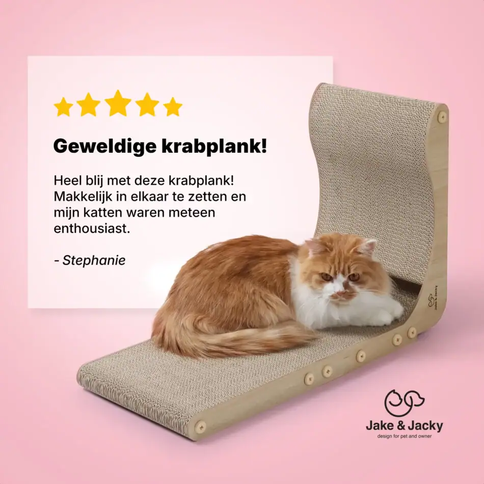 jake & jacky krabkarton listing images 09 l shape