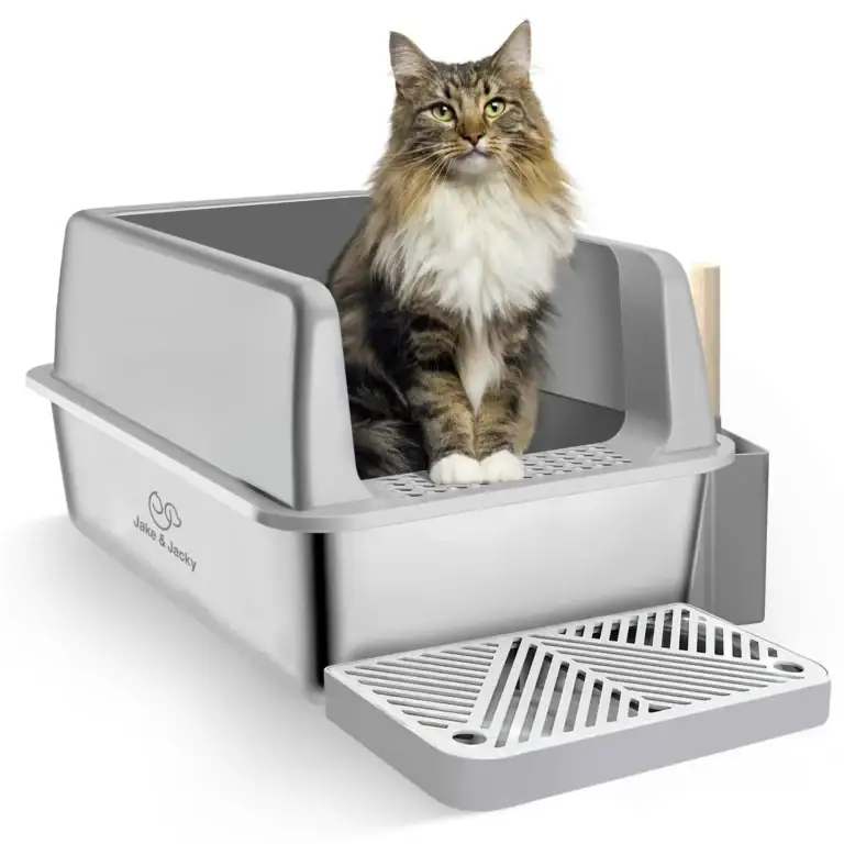 jake & jacky listing images main 01open model