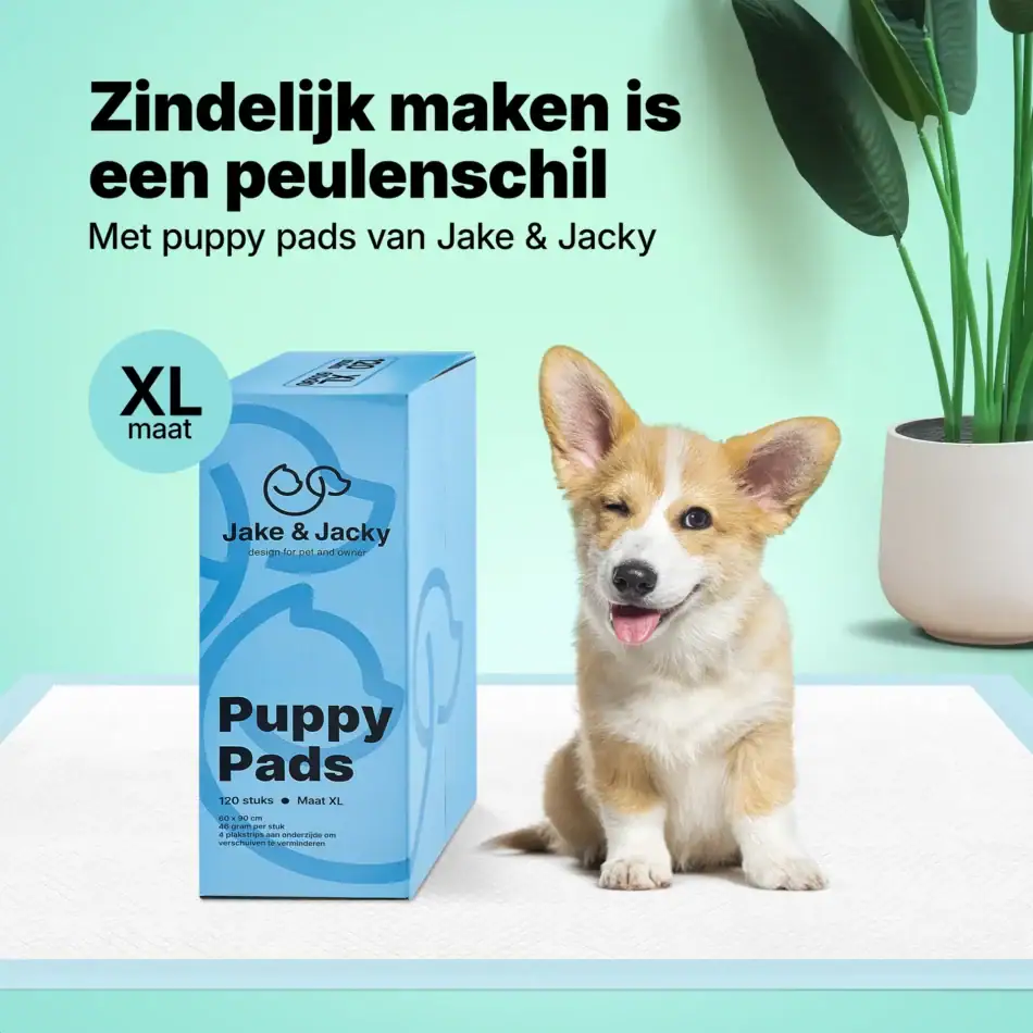jake & jacky puppy pads listing images 0160x90 120pcs blue