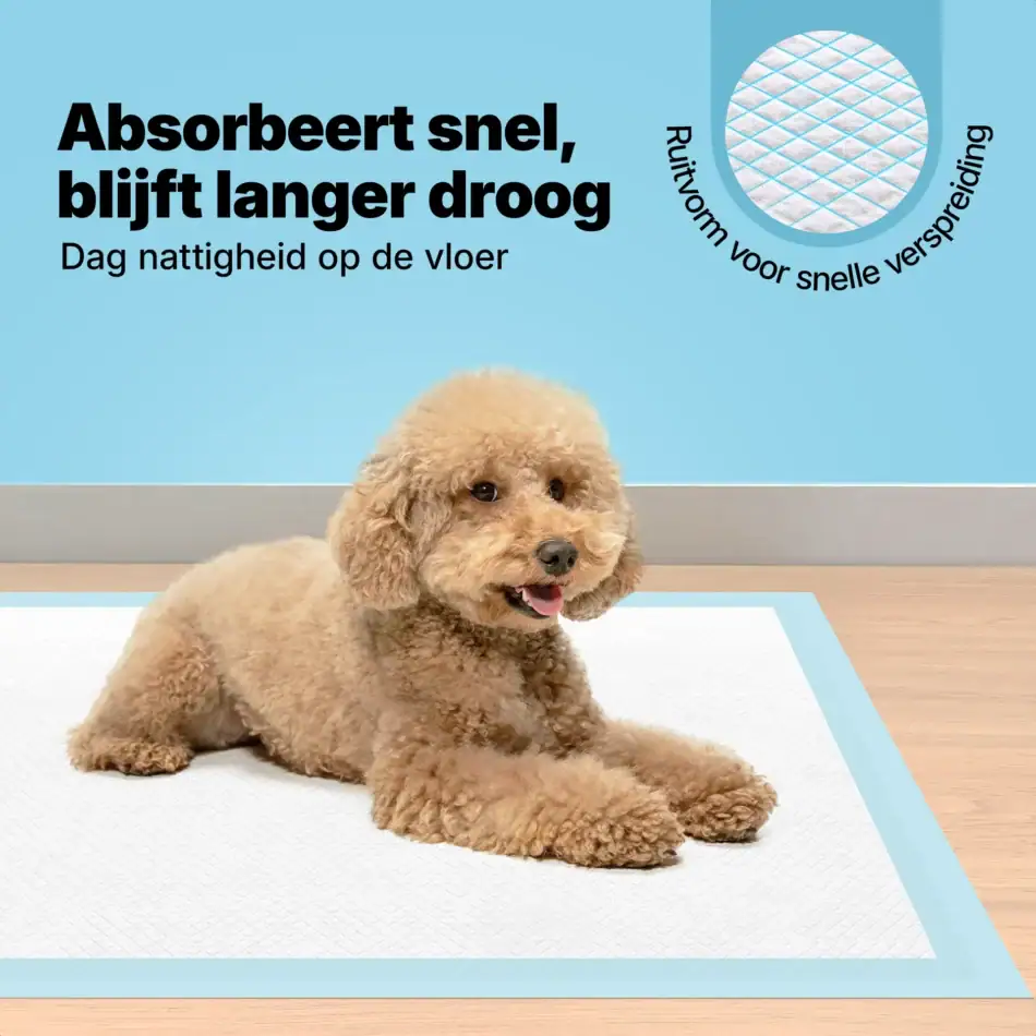 jake & jacky puppy pads listing images 0260x90 240pcs blue