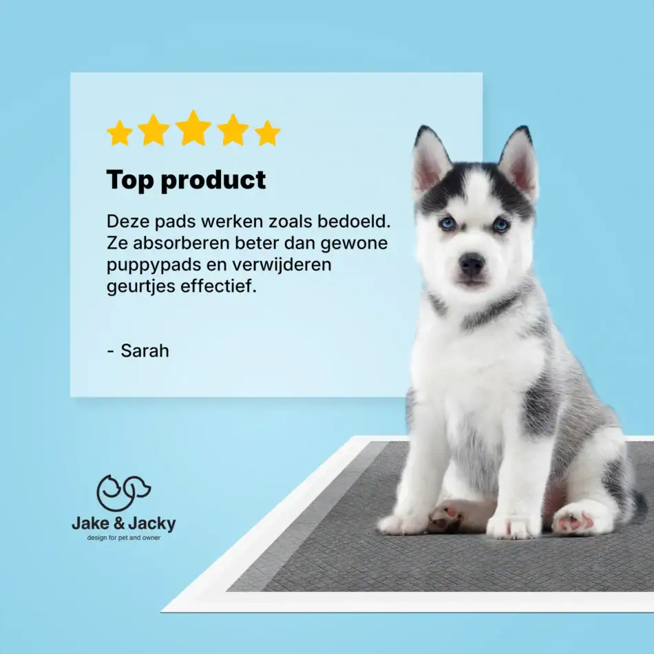 jake & jacky puppy pads listing images 0960x60 180pcs black