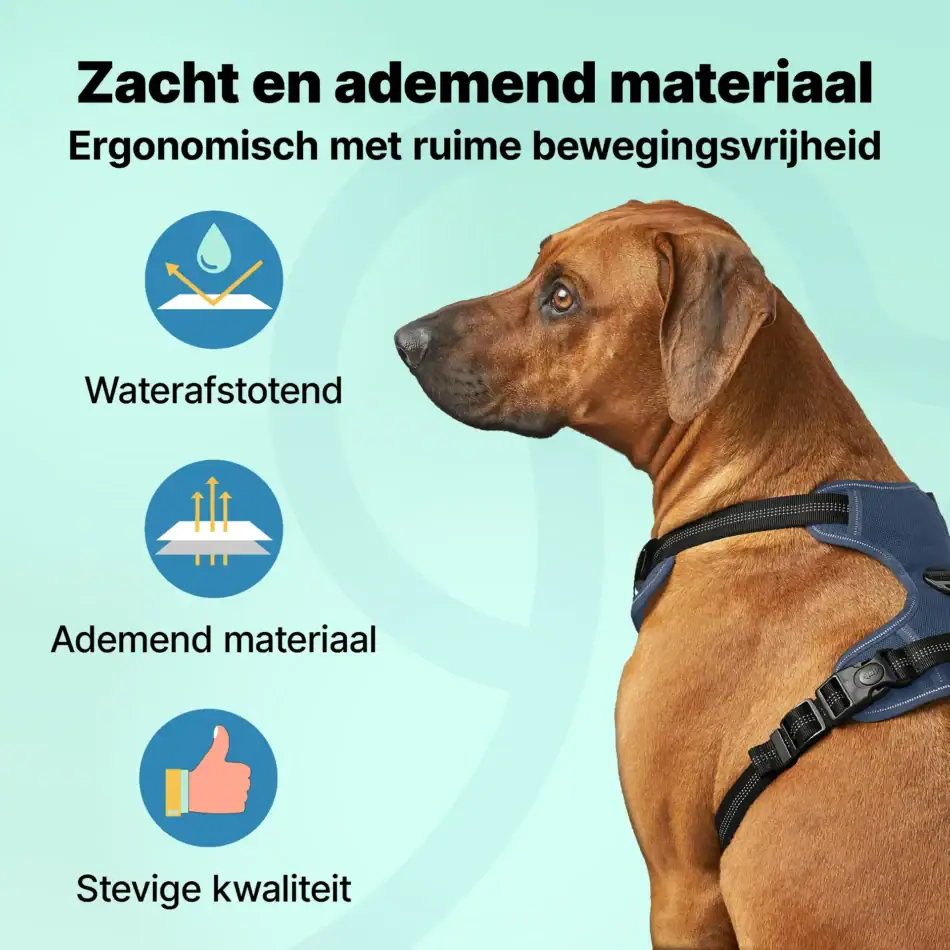 jakejacky hondentuigjes blauw l blauw