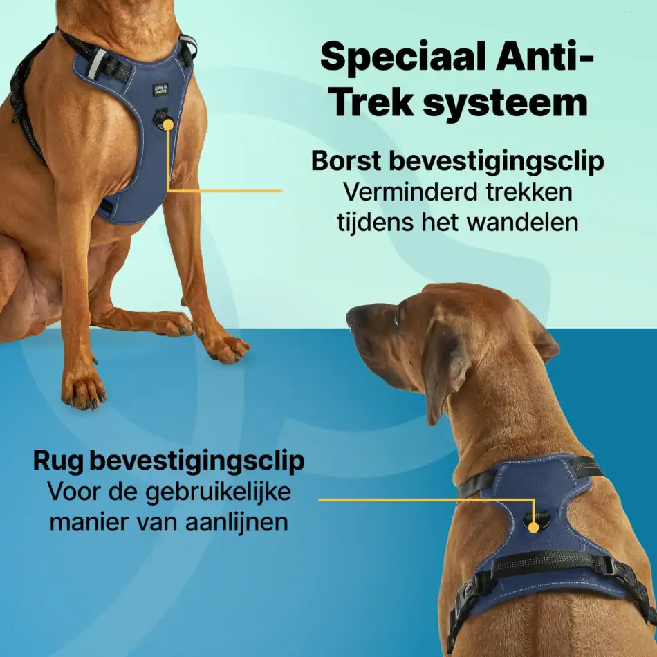 jakejacky hondentuigjes blauw l2 blauw