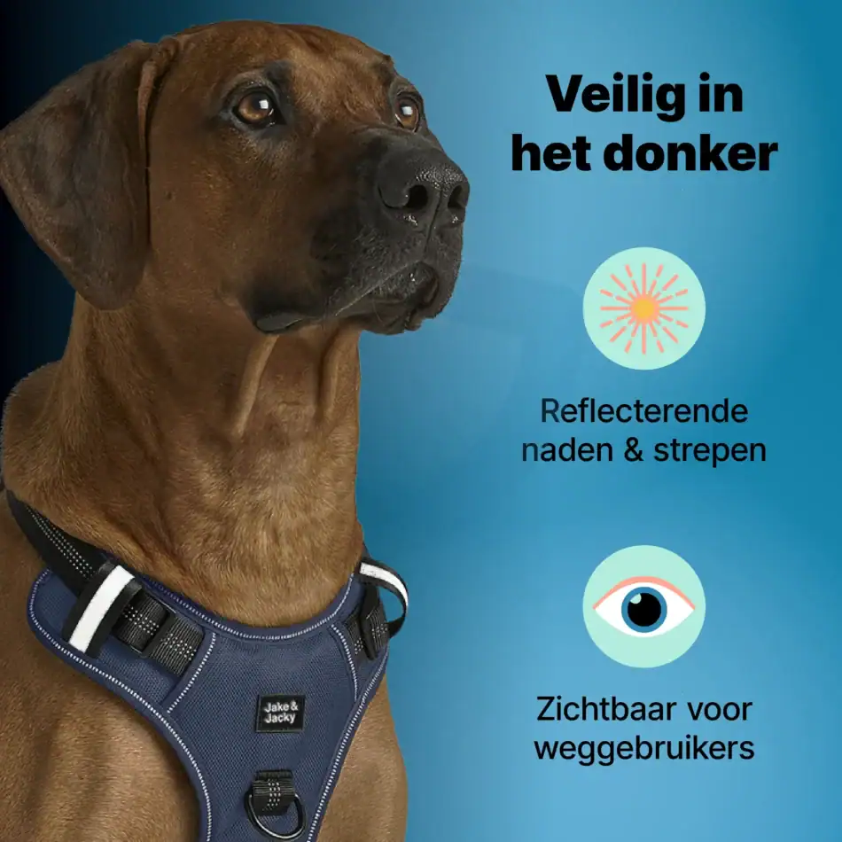 jakejacky hondentuigjes blauw l5 blauw