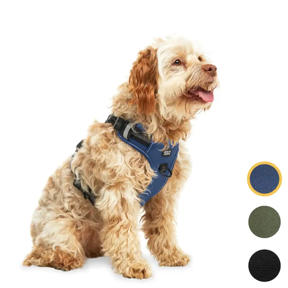 jakejacky hondentuigjes blauw m0