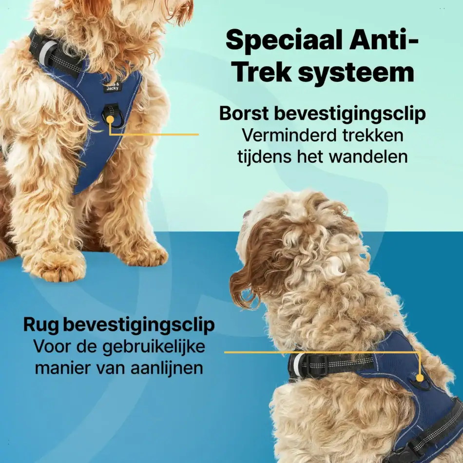 jakejacky hondentuigjes blauw m42 blauw