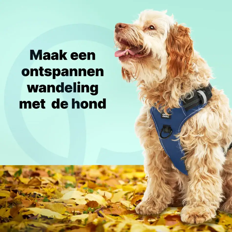 jakejacky hondentuigjes blauw m44 blauw
