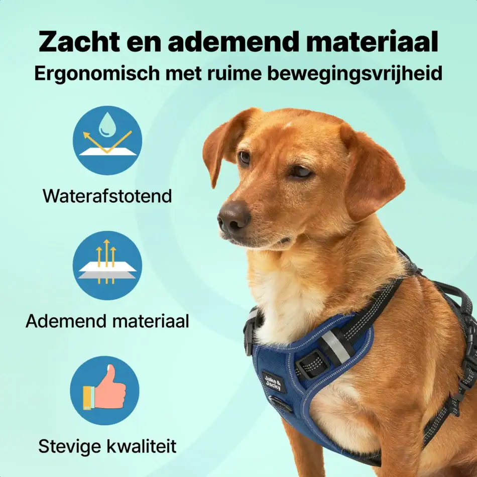 jakejacky hondentuigjes blauw s blauw