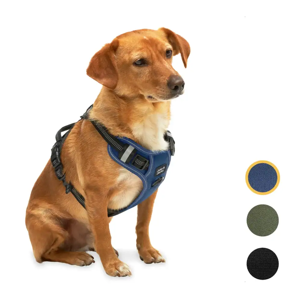 jakejacky hondentuigjes blauw s0