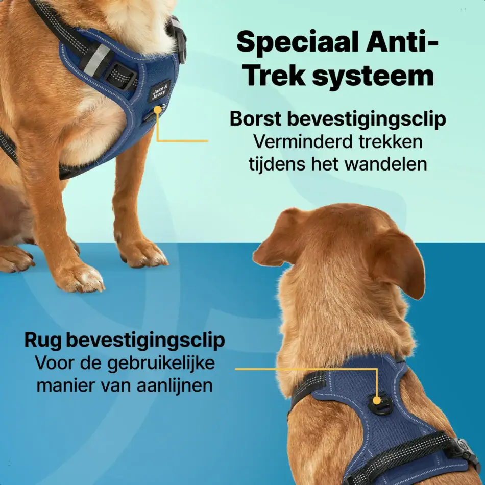 jakejacky hondentuigjes blauw s2 blauw