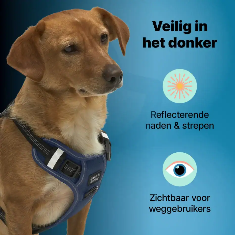 jakejacky hondentuigjes blauw s5 blauw