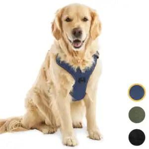 jakejacky hondentuigjes blauw xl0