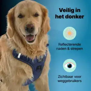 jakejacky hondentuigjes blauw xl5 blauw