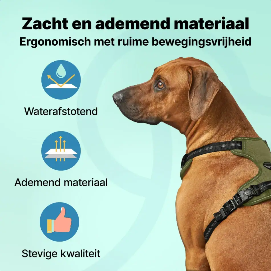 jakejacky hondentuigjes groen l groen