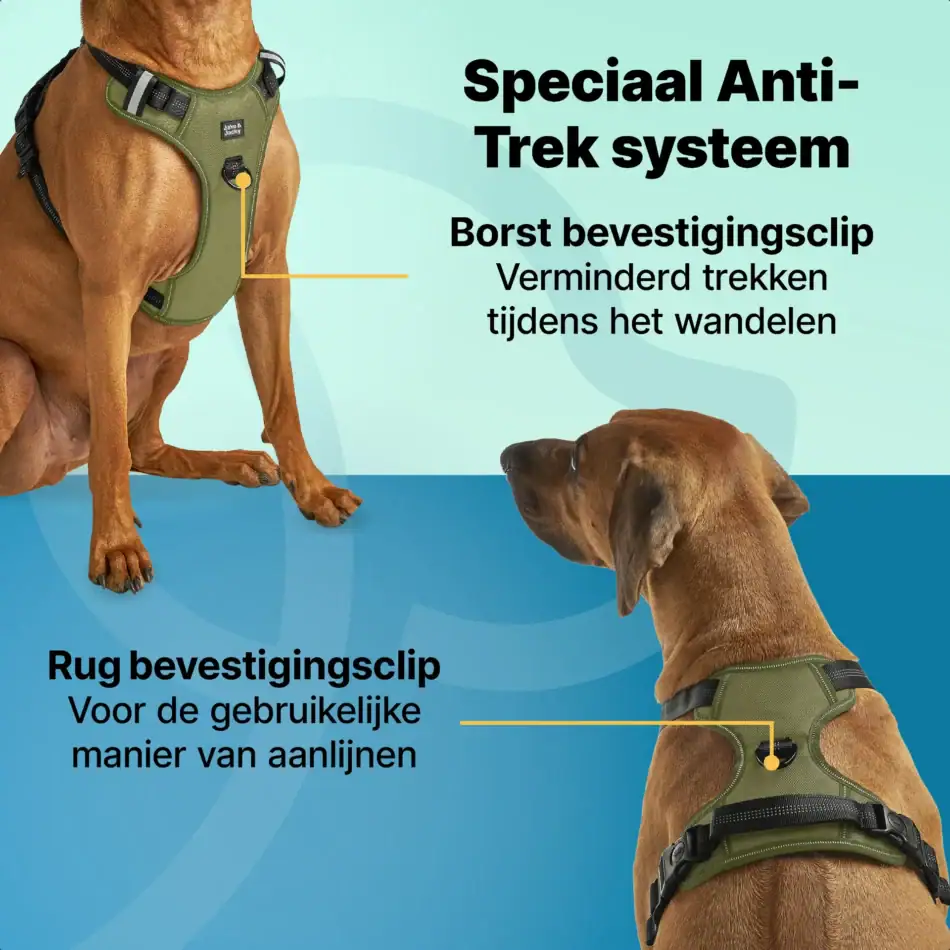 jakejacky hondentuigjes groen l2 groen
