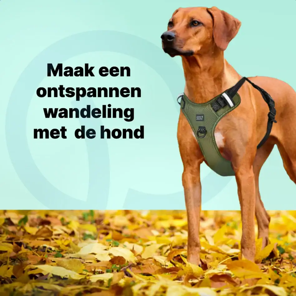 jakejacky hondentuigjes groen l4 groen