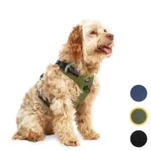 jakejacky hondentuigjes groen m0