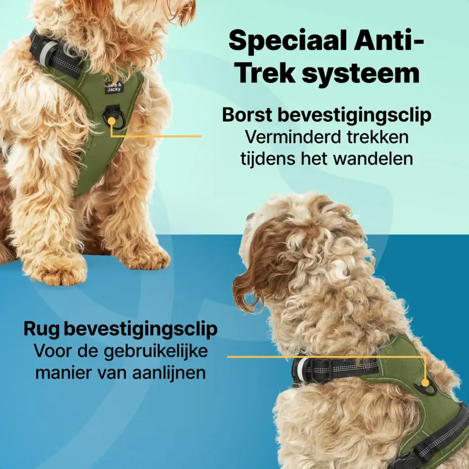 jakejacky hondentuigjes groen m2 groen