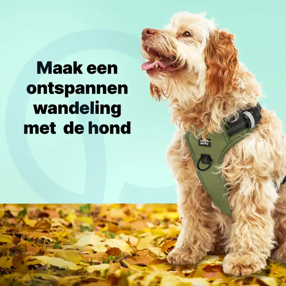 jakejacky hondentuigjes groen m4 groen