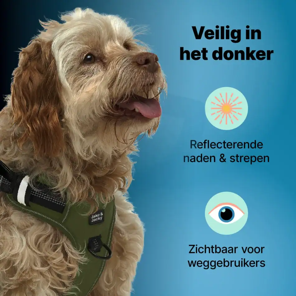 jakejacky hondentuigjes groen m5 groen