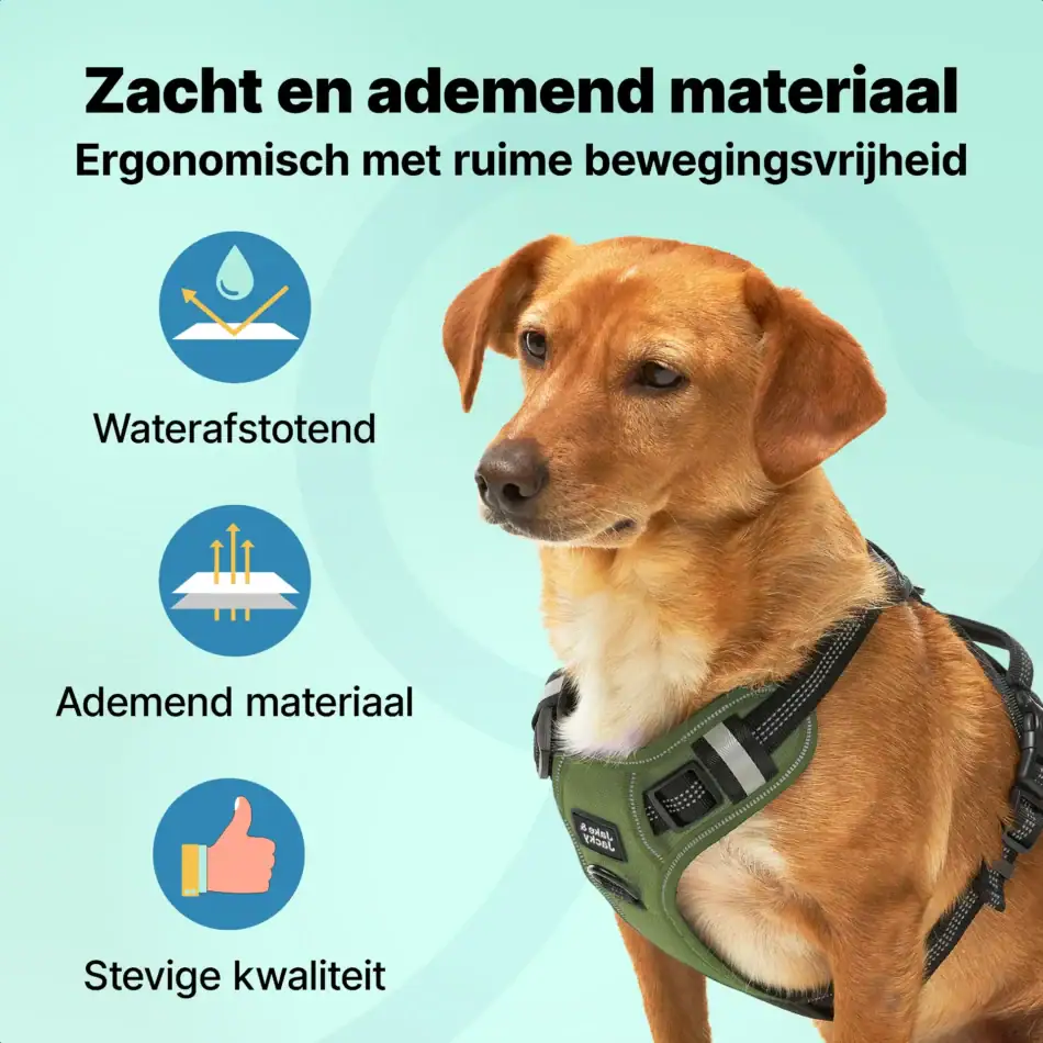jakejacky hondentuigjes groen s groen