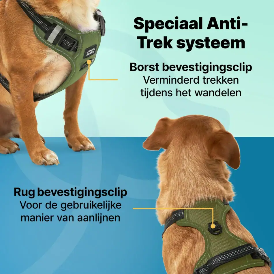 jakejacky hondentuigjes groen s2 groen