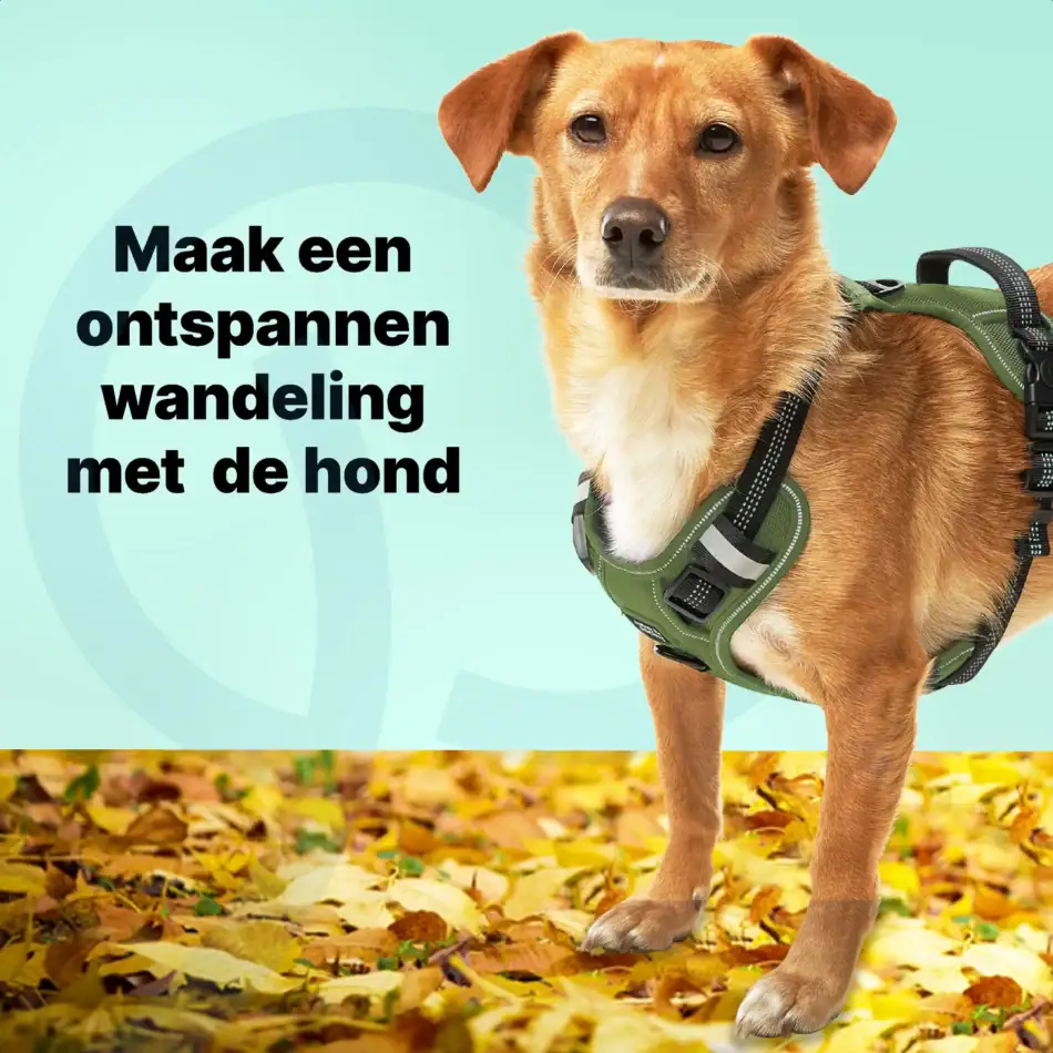 jakejacky hondentuigjes groen s4 groen