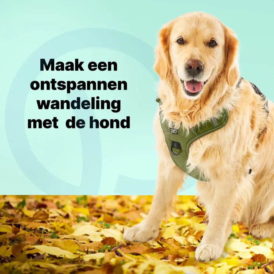 jakejacky hondentuigjes groen xl4 groen