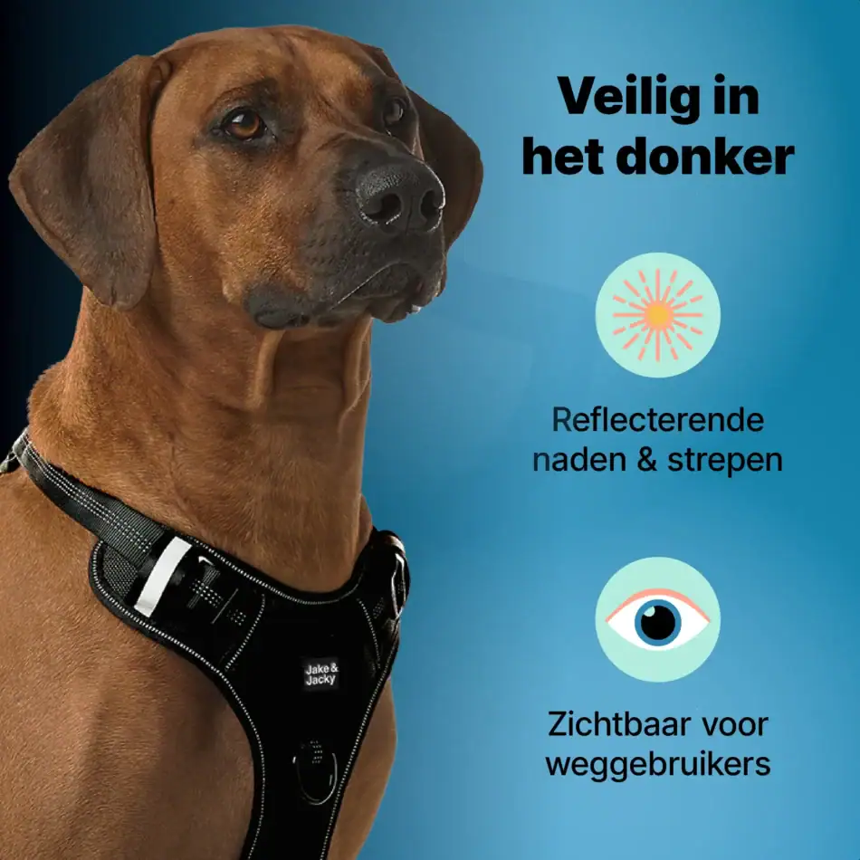 jakejacky hondentuigjes maat l5 zwart