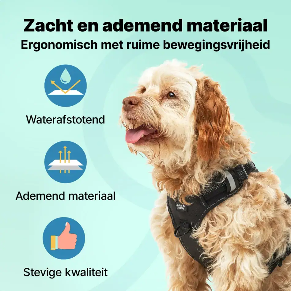 jakejacky hondentuigjes maat m zwart