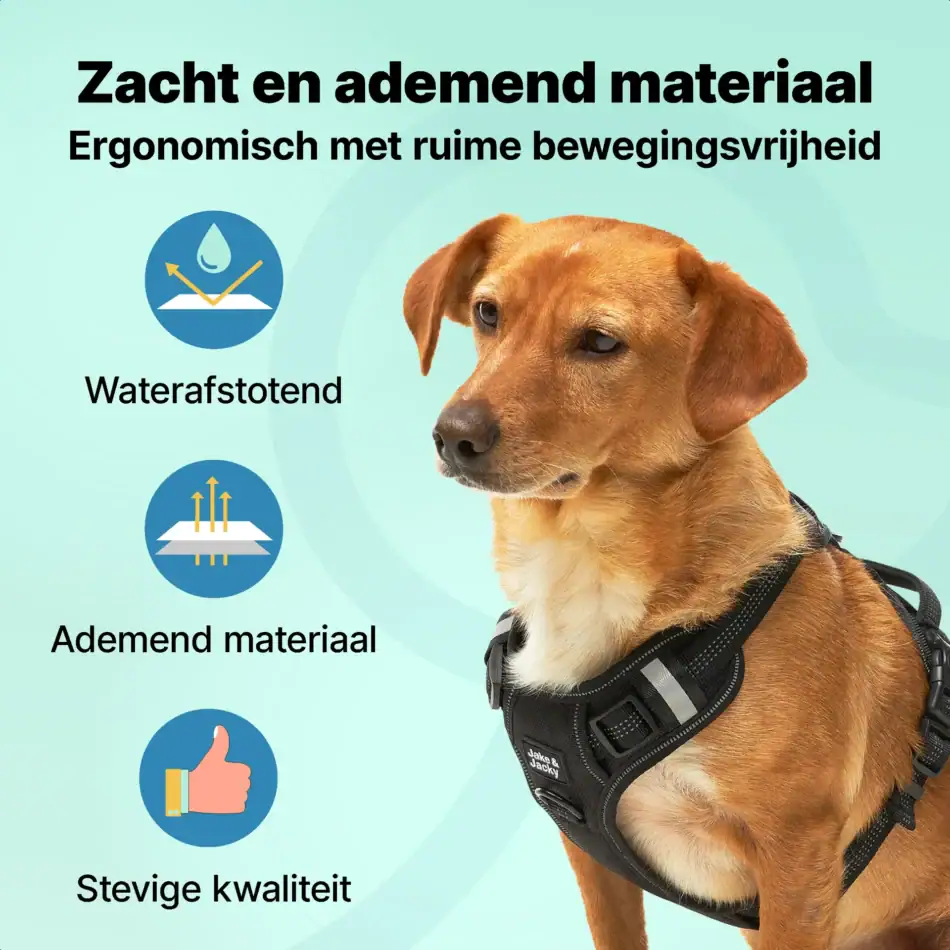 jakejacky hondentuigjes maat s zwart