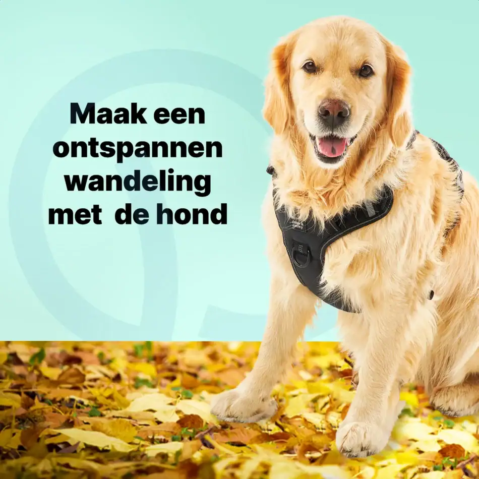 jakejacky hondentuigjes zwart xl 24 zwart