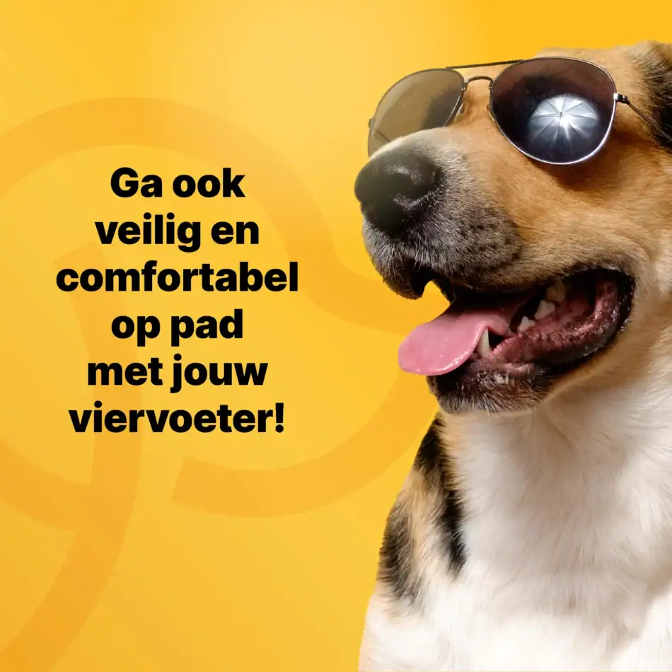 jakejacky luxe hondendeken p5 9