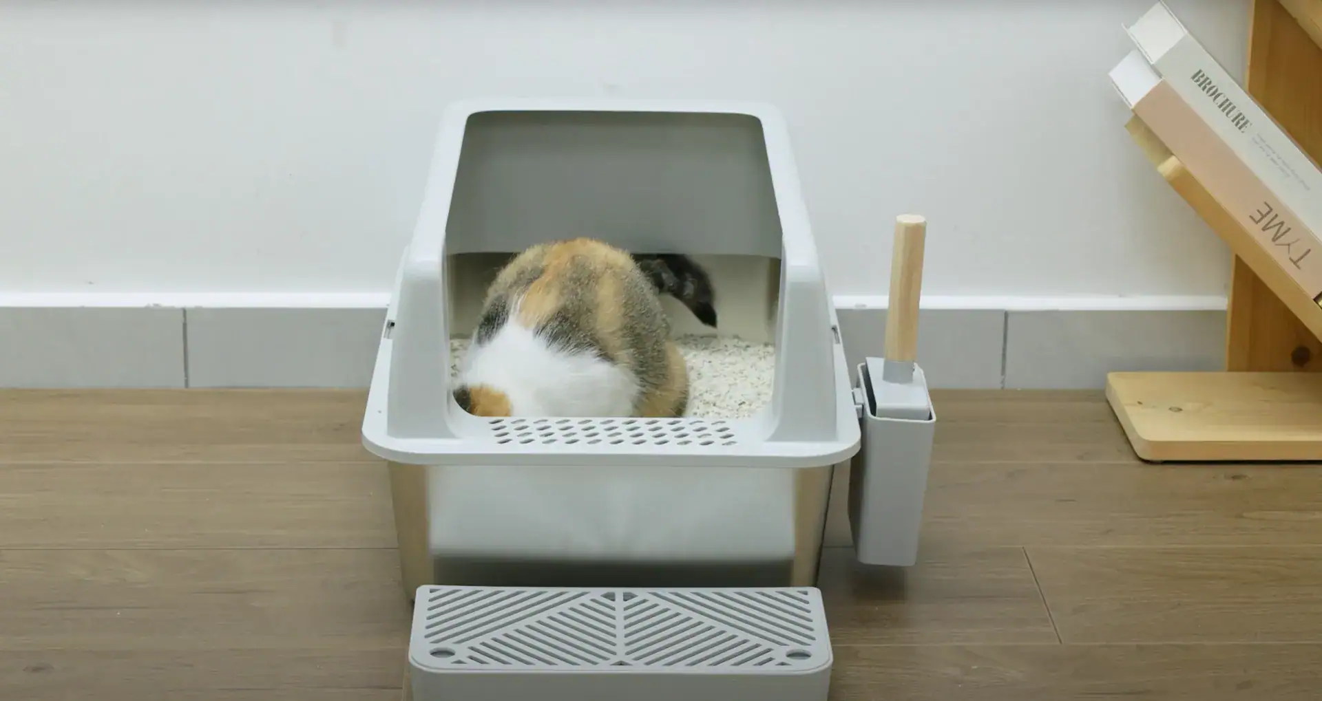 kattenbak rvs open