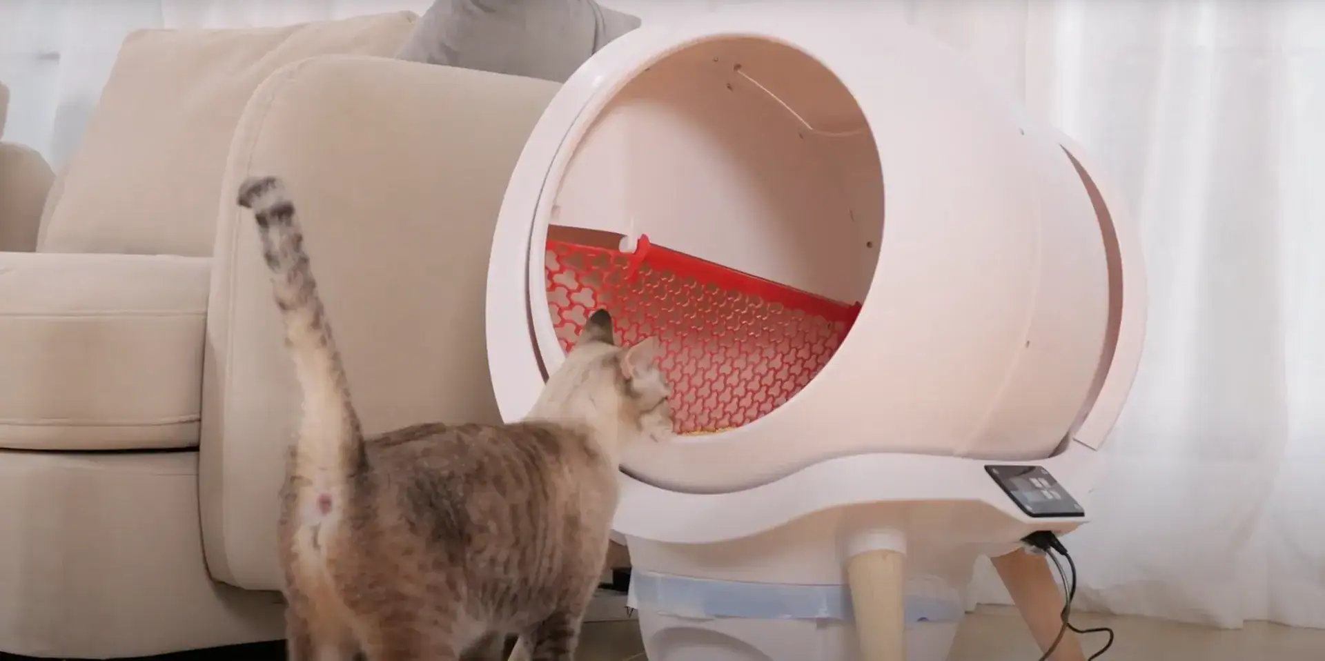 honeyguardian automatische kattenbak xxl