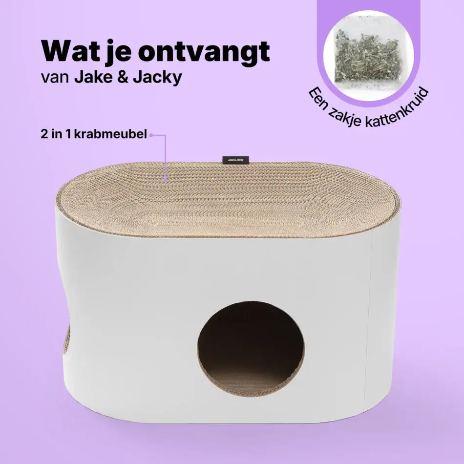 jake & jacky krabkarton listing images 07