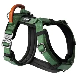 jake & jacky harness listing images main 1