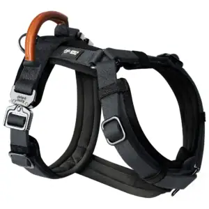 jake & jacky harness listing images main 1