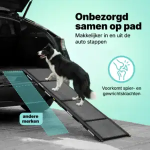 jake & jacky honden loopplank listing images 1