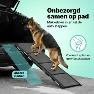 jake & jacky honden loopplank listing images 1