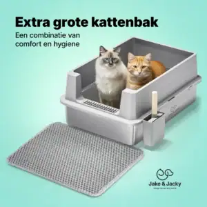 jake & jacky listing images 1