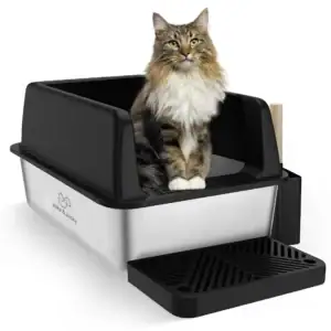 jake & jacky listing images main 01