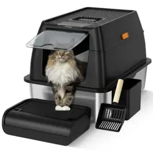 jake & jacky listing images main 1